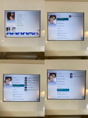 Nd:YAG LAZER VEGA 10.64